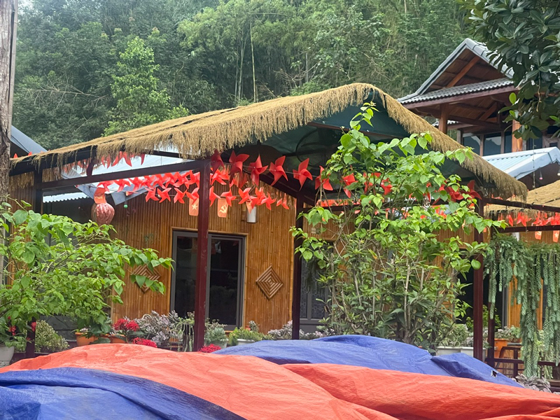 cỏ rơm nhân tạo