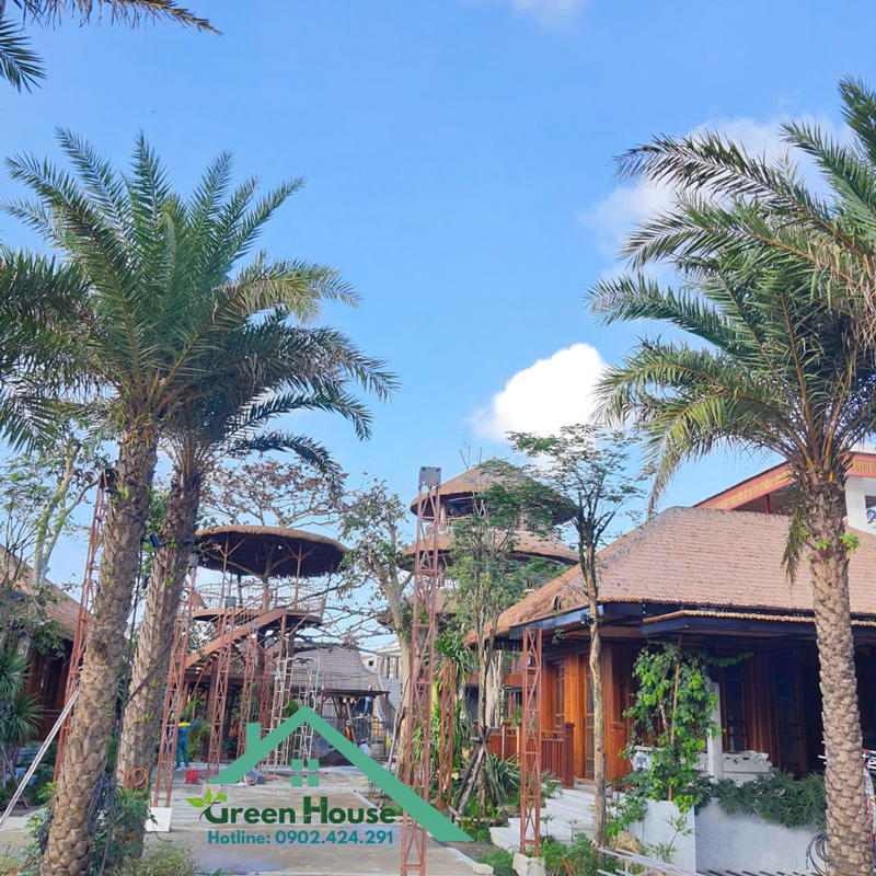 mái tranh waterfont