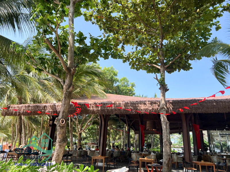 nhà hàng lợp rơm nhân tạo